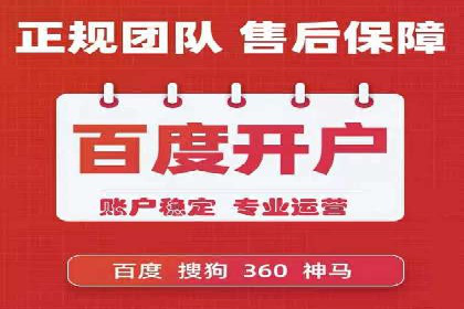 SEM广告案例：数据分析驱动营销决策